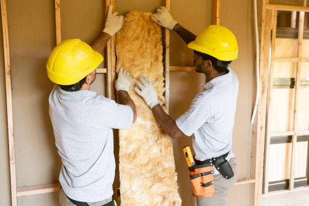 Best Insulation for New Construction  in Dearborn, MI